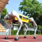 Çinli Robot, 100 metreyi 16,33 saniyede koşarak rekor kırdı